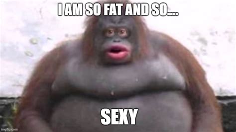 big fat monkey meme|chunky monkey funny.